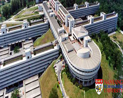 Nanyang business school essays
